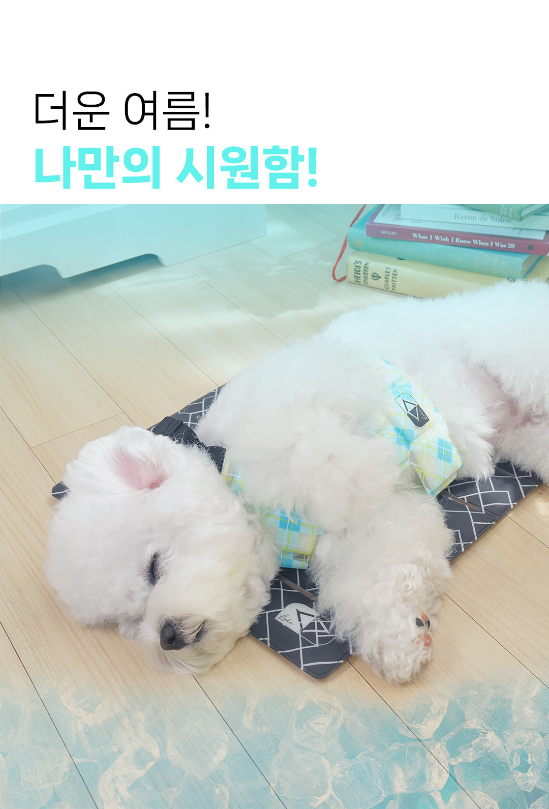 Laki 라키 28도 애견용 아이스 조끼 강아지 여름옷 쿨조끼