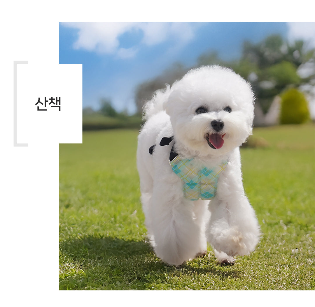 Laki 라키 28도 애견용 아이스 조끼 강아지 여름옷 쿨조끼