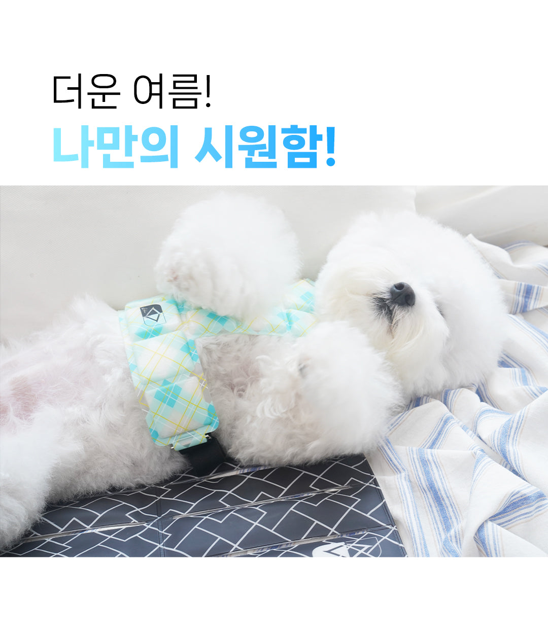 Laki 라키 아이스 강아지 쿨매트 반려동물 여름 애견 방석