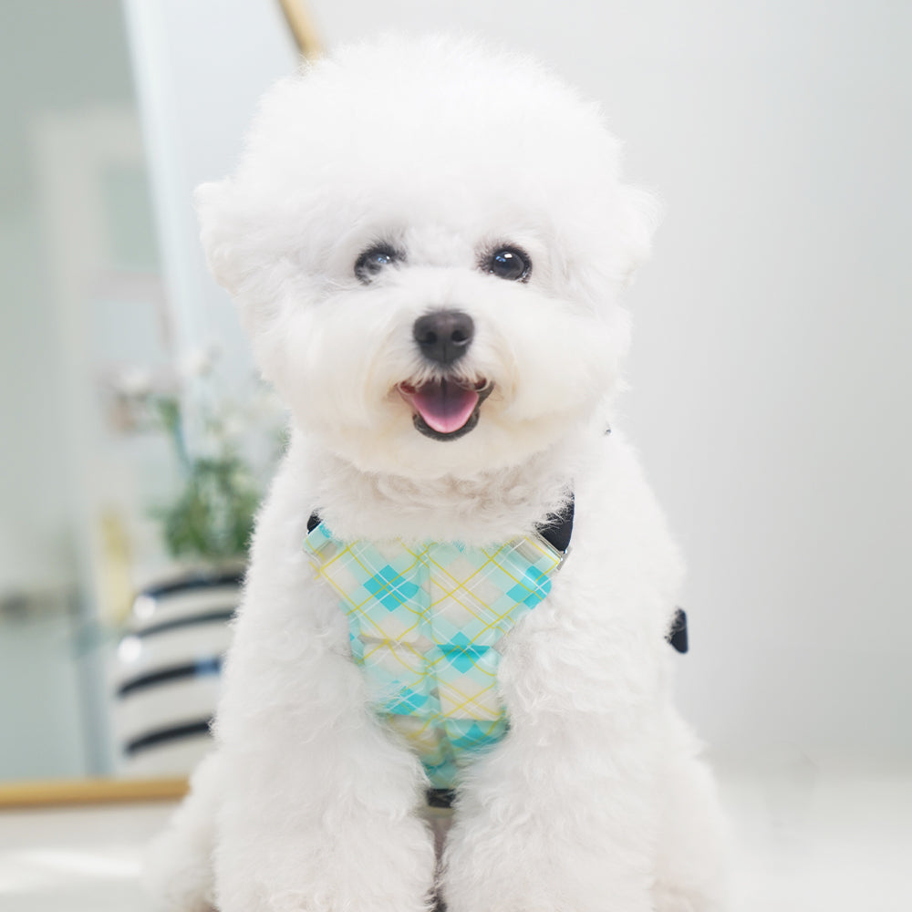 Laki 라키 28도 애견용 아이스 조끼 강아지 여름옷 쿨조끼