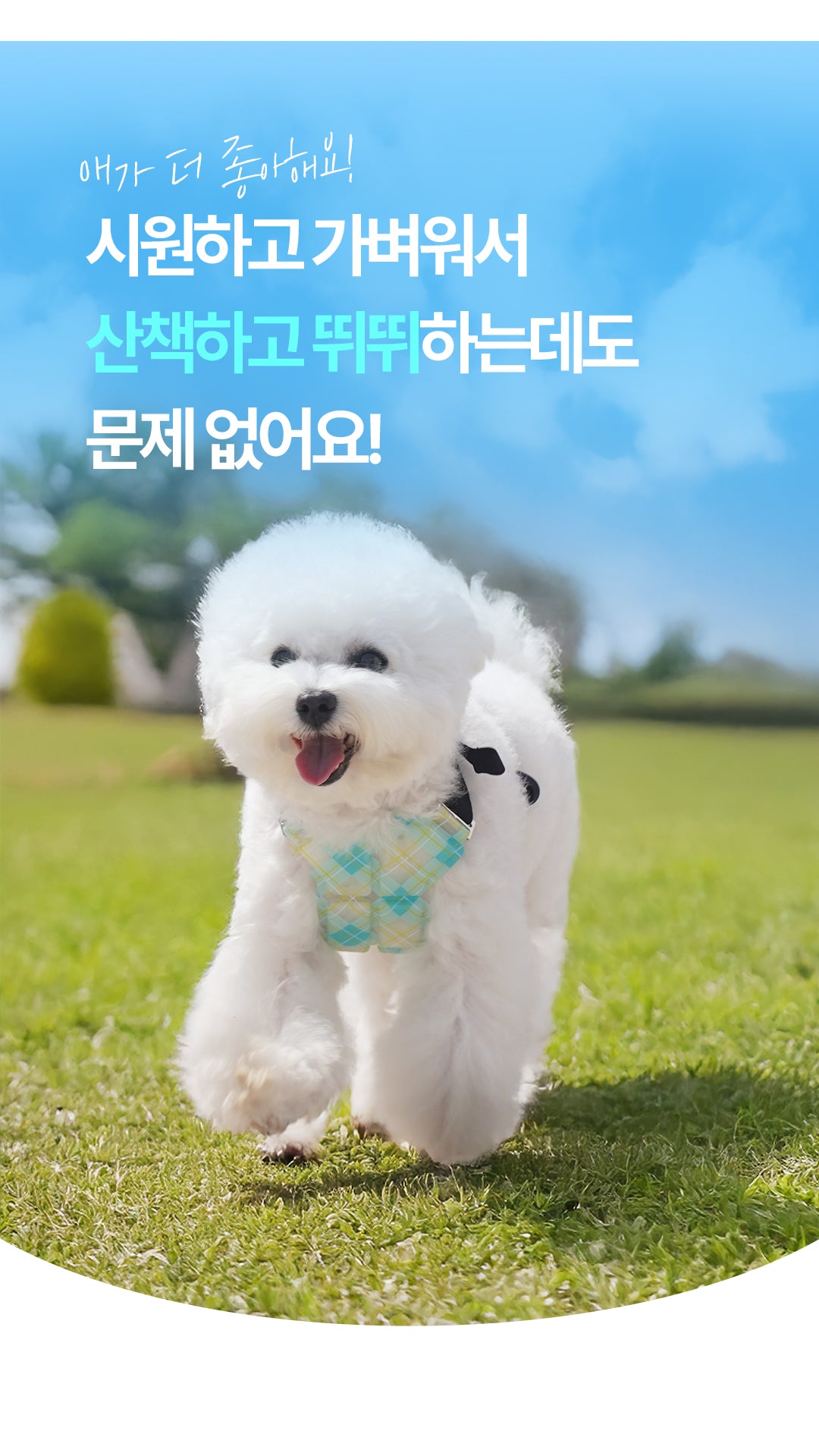 Laki 라키 28도 애견용 아이스 조끼 강아지 여름옷 쿨조끼