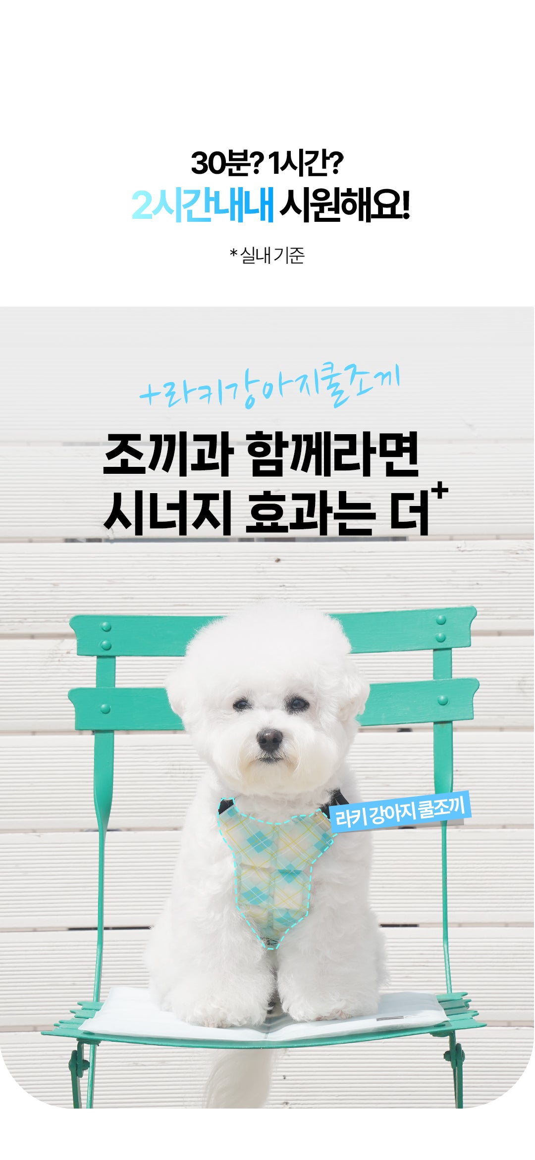 Laki 라키 아이스 강아지 쿨매트 반려동물 여름 애견 방석