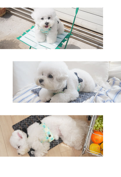 Laki 라키 아이스 강아지 쿨매트 반려동물 여름 애견 방석