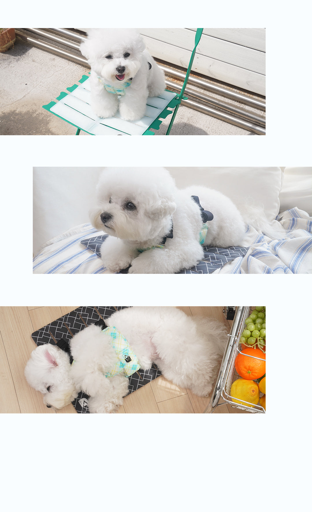 Laki 라키 28도 애견용 아이스 조끼 강아지 여름옷 쿨조끼